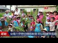 台南六甲附幼種稻收割 阿公阿嬤來協助