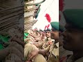 vardi mai mjp ke cadate #ncc#army#viral#shorts #motivation#indianarmy #video #viralshorts#mirzapur