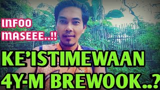 KEISTIMEWAAN 4Y4M BREWOK