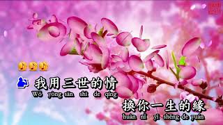 Tam sinh tam thế 三生三世（三世情緣） KARAOKE 伴奏 KTV 卡拉OK