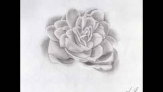 Flower Time Lapse Speed Drawing / Disegno a matita fiore By Lemik90