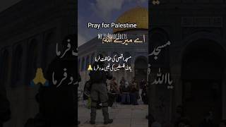 Palestine|pray for Palestine|daily Islamic status|karam mangta hun|#viral #palestine #ytshorts #com