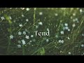 Tend - Hillside Recording & Diana Trout (Cover)