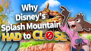 Why Splash Mountain Had to Close \u0026 What to Expect From Tiana's Bayou Adventure