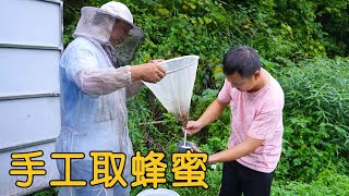 【农村四哥】土蜂蜜是怎样取蜜的？小伙两人全副武装，想吃真正的土蜂蜜不容易