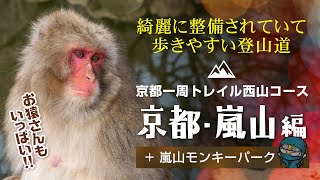 【京都一周トレイル・西山コース】綺麗に整備されていてとっても歩きやすい登山道、嵐山に行ってきました。