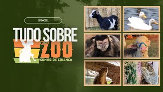 Zoo Sonho de Criança: Um Refúgio para Animais Resgatados