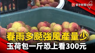 春雨多颳強風產量少 玉荷包一斤恐上看300元@globalnewstw