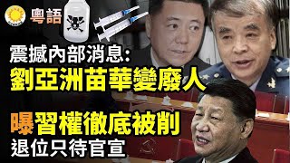 粵語字幕 🔥💥知情者曝習被徹底削權 退位只待官宣；🧠震撼內部消息：劉亞洲、苗華等都成精神病廢人；⛏️駭客揭露俄羅斯內幕：礦產、原料皆已嚴重短缺；🏥中國醫院學術醜聞！撤稿率狂飆50倍 論文工廠黑