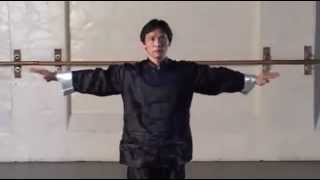 Preview: Austin Goh - Wing Chun for Beginners
