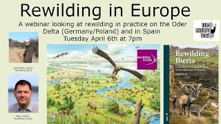 Rewilding in Europe