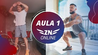 ZN ONLINE - AULA 1