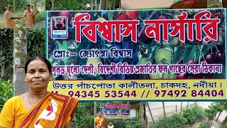 Biswas Nursery | Healthy Plant | Chakdaha ; Nadia| 9434553544 | বিশ্বাস নার্সারি। চাকদহ ; নদীয়া ।