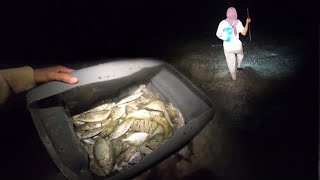 Menombak Ikan malam hari panen baronang, cumi sotong dan teripang lamun