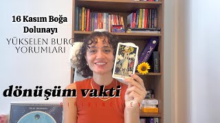 16 Kasım'da Dönüştürücü Dolunay, Burç Yorumları