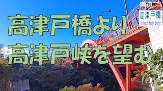 高津戸橋から見る紅葉の #高津戸峡