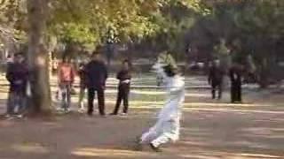 Chinese Kungfu Dragon Form (Long Hua Quan) 武当龙华拳