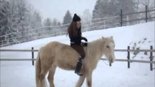 Valia gypsy cob