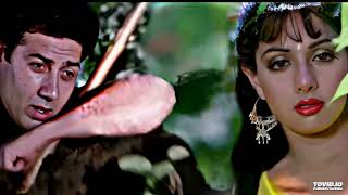 Hum Tumhe Itna Pyar Karenge Full (Audio) Song | Bees Saal Baad | Anuradha Paudwal, Mohammed Aziz