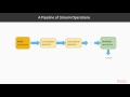 Functional Programming with Streams in Java 9 : Cmpring Strems, Colltns, & Iterators | packtpub.com
