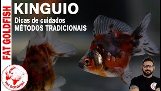 Kinguios - Dicas de cuidados