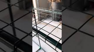 Temporary Greenhouses Do They Work