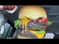 TRYING WENDYS NEW KRABBY PATTY