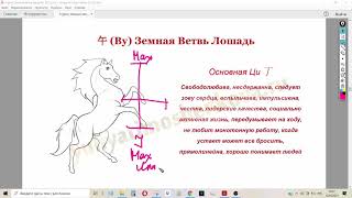 Лошадь в бацзы. Как читать Земную ветвь?