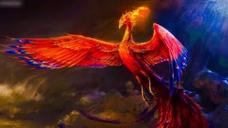 Phoenix Bird. #phoenix #tamil #nature #immortal #trending #shorts #youtube #fire #birds #sky
