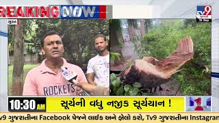 Thief stealing sandalwood trees in Gandhi Bagh | Surat | Gujarat | TV9GujaratiNews