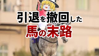 【ゆっくり解説】現役引退を撤回したGI馬の末路３選【オメガパフューム】