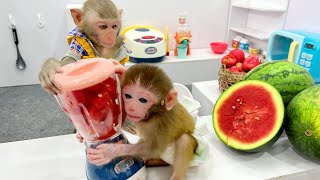 Bim Bim harvest watermelon to make juice for Baby monkey