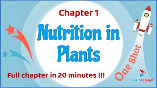 Class 7 Science Chapter 1 Nutrition in Plants | One Shot in 20 minutes !! CBSE Class 7