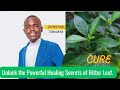 Unlock the Powerful Healing Secrets of Bitter Leaf with Dr. Michael Tonkanya | Nature’s Remedy!