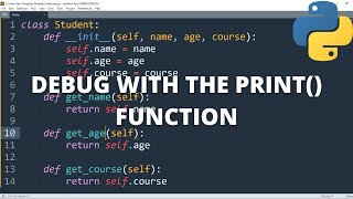 Debug with the print() Function in python