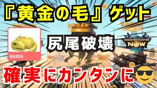 【黄金の毛😎】星8ラージャンの尻尾破壊、確実にカンタンに破壊できる立ち回りを解説します（モンハンNow）