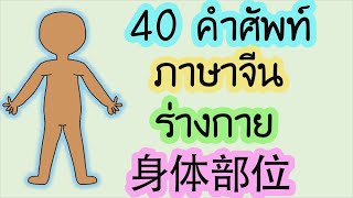 40คำศัพท์ภาษาจีน ร่างกาย 身体部位