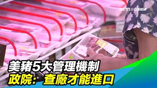 美豬5大管理機制　政院：查廠才能進口｜三立新聞台