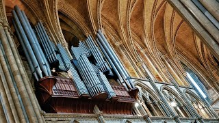 Organ Recital: Charles Francis