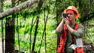 Tree Height, Width, \u0026 Age: Forest Inventory with UCC Alumni \u0026 Lone Rock Resources