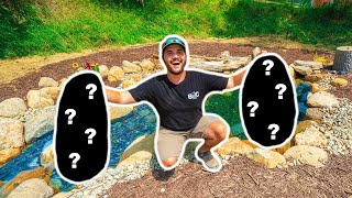 STOCKING My New BACKYARD MINI POND with FISH!!!