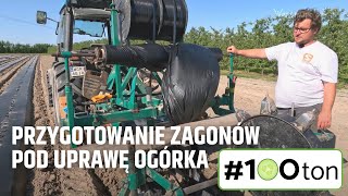 Przygotowanie zagonów pod uprawę ogórka (#100 ton)