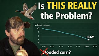 It’s Not Just Flooded Corn: The 3 Things That Actually Move Ducks