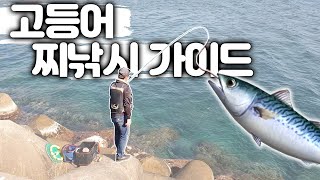 바다낚시 고등어 찌낚시 초보자 가이드 \