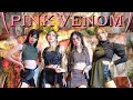 BLACKPINK - 'Pink Venom' DANCE & MV COVER BY PINK PANDA (INDONESIA)