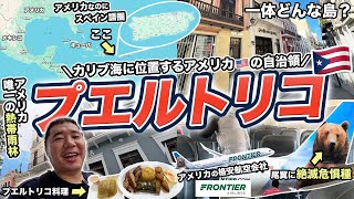 プエルトリコ2泊3日旅行記🇵🇷カリブ海あるアメリカ領スペイン語圏の島に行ってみた✈️