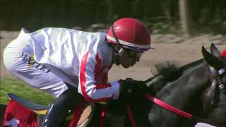 12a. Carrera Clásico Peso Reglamento, Caballos 3 años y más, 1.200 Mts.