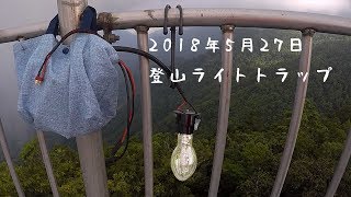 登山ライトトラップ【クワガタムシ】台湾北部2018年5月27日灯火採集