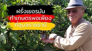 ฝรั่งเยอรมันทำเกษตรพอเพียงหลังเกษียนที่อุบลราชธานี (King snake organic farm) Farm Station