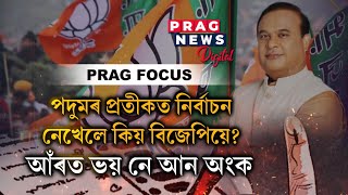 Why the BJP to not contest in the Assam Panchayat election with the lotus  symbol? details here